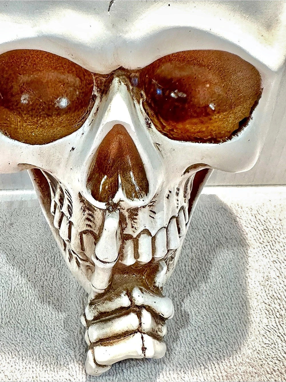 Halloween Skull Wall Decor White & Brown 5x7